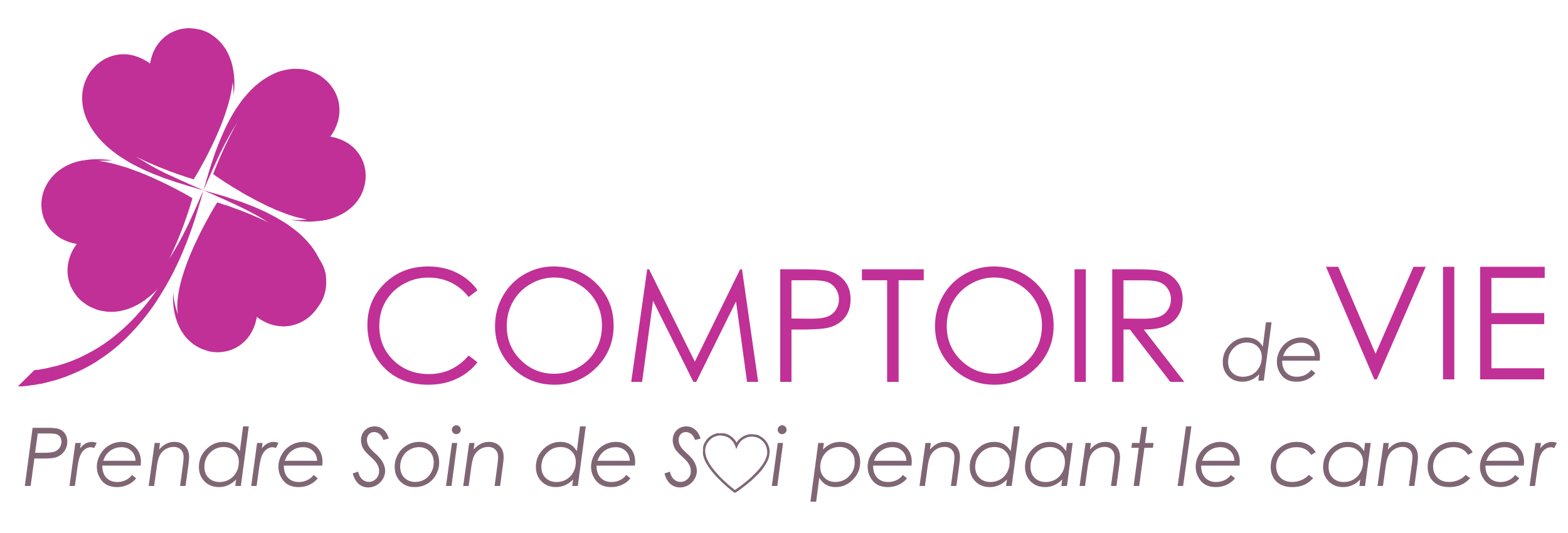 comptoir-de-vie.com