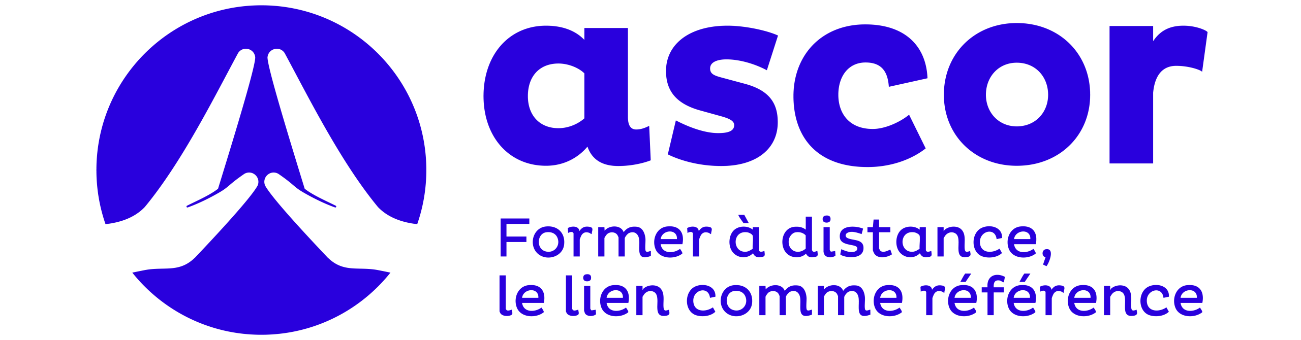 ascor.fr