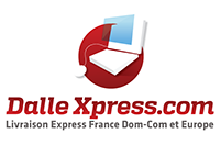 dallexpress.com logo