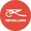 topsellerieauto.com logo