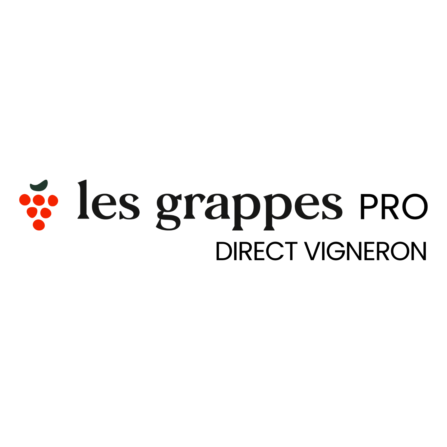 directvigneron.lesgrappes.com logo