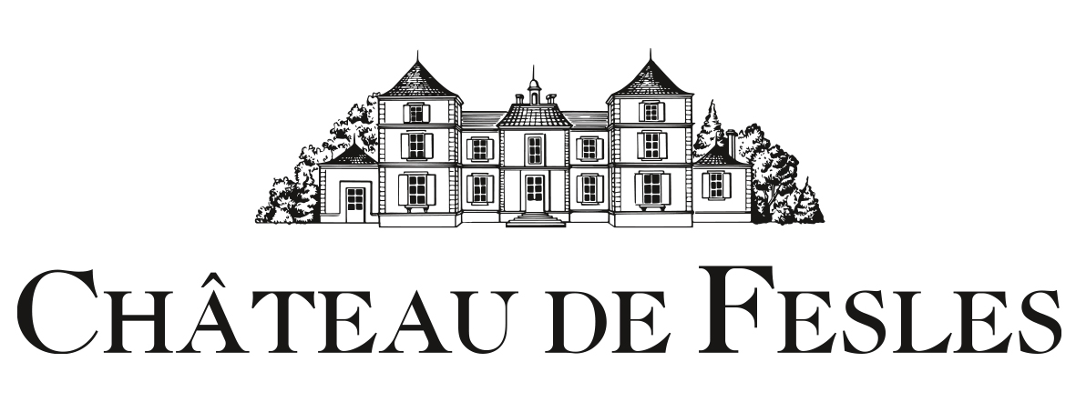chateaudefesles.com logo