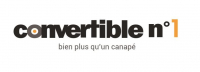 convertiblenumero1.com logo