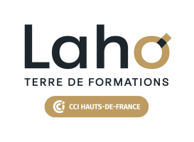 laho-formation.fr