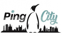 ping-city.com